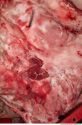 Photo Textures of RAW Pork Meat